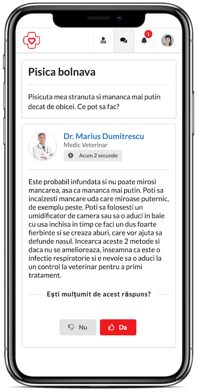 Medic Chat - Cum funcționează